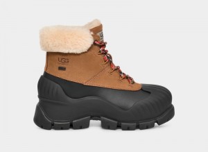 Brown Ugg Adiroam Hiker Women's Winter Boots | Saudi Arabia-4015368