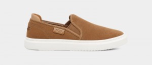 Brown Ugg Alameda Slip On Suede Women's Sneakers | Saudi Arabia-6742981