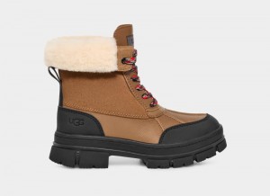 Brown Ugg Ashton Addie Women's Winter Boots | Saudi Arabia-8256410