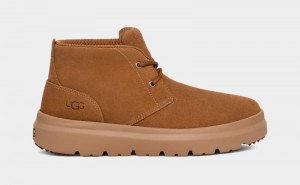 Brown Ugg Burleigh Chukka Men's Sneakers | Saudi Arabia-3751046