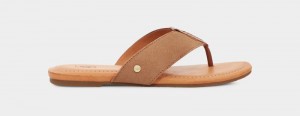 Brown Ugg Carey Flip Suede Women's Slides | Saudi Arabia-8239465