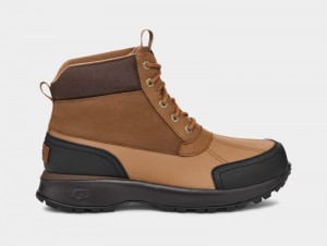 Brown Ugg Emmett Duck Men's Ankle Boots | Saudi Arabia-4820396