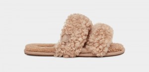 Brown Ugg Maxi Curly Scuffetta Women's Slippers | Saudi Arabia-2485691