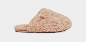 Brown Ugg Maxi Curly Women's Slides | Saudi Arabia-3546821