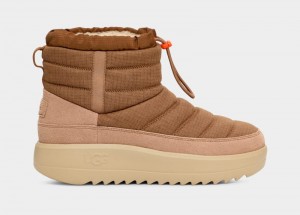 Brown Ugg Maxxer Mini Men's Boots | Saudi Arabia-0983427