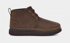 Brown Ugg Neumel Weather Ii Men's Boots | Saudi Arabia-4187362