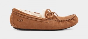 Brown Ugg Olsen Men's Slippers | Saudi Arabia-7195463