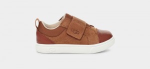 Brown Ugg Rennon Low Kids' Sneakers | Saudi Arabia-8061327