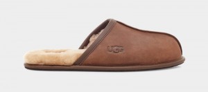 Brown Ugg Scuff Leather Men's Slippers | Saudi Arabia-0368514