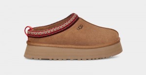 Brown Ugg Tazz Women's Clogs | Saudi Arabia-9123068