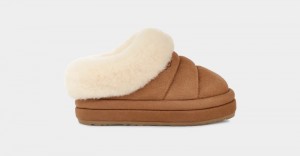 Brown Ugg Tazzlita Kids' Slippers | Saudi Arabia-7862391