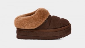 Brown Ugg Tazzlita Women's Clogs | Saudi Arabia-1908437