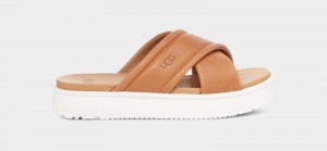 Brown Ugg Zayne Crossband Women's Slides | Saudi Arabia-5693218