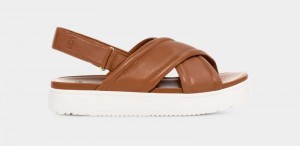 Brown Ugg Zayne Women's Slingback | Saudi Arabia-7401265