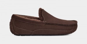 Deep Brown Ugg Ascot Men's Slippers | Saudi Arabia-7109824