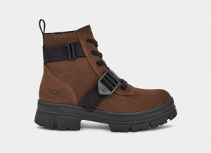 Deep Brown Ugg Ashton Lace Up Women's Ankle Boots | Saudi Arabia-4293157