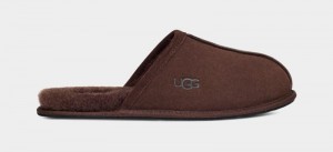 Deep Brown Ugg Scuff Men's Slippers | Saudi Arabia-8524139