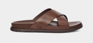 Deep Brown Ugg Wainscott Men's Slides | Saudi Arabia-4501628