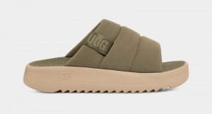 Green Ugg Maxxer Men's Slides | Saudi Arabia-3124576