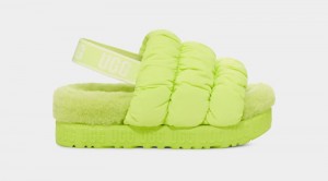 Green Ugg Scrunchita Women's Slippers | Saudi Arabia-6715420