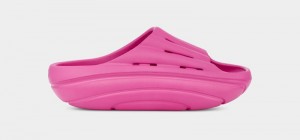 Pink Ugg Foamo Women's Slides | Saudi Arabia-9368247