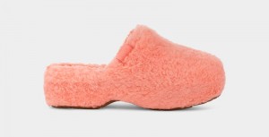 Pink Ugg Fuzz Sugar Clog Women's Clogs | Saudi Arabia-5231069