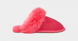 Pink Ugg Scuff Sis Women's Slippers | Saudi Arabia-3704258