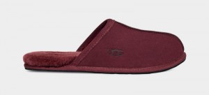 Purple Ugg Scuff Men's Slippers | Saudi Arabia-1062458