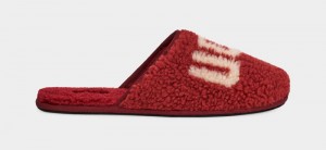 Red Burgundy Ugg Scuff Curly Graphic Men's Slippers | Saudi Arabia-2617984