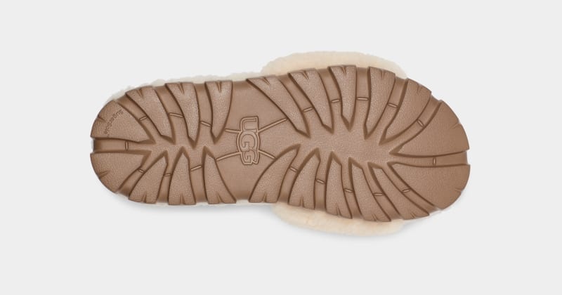 Beige Ugg Cozetta Curly Graphic Women's Slippers | Saudi Arabia-3827901