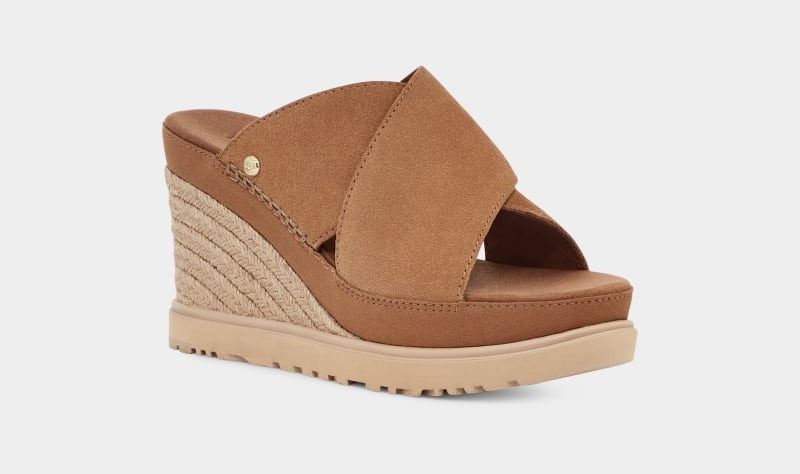 Brown Ugg Abbot Women's Slides | Saudi Arabia-2149536