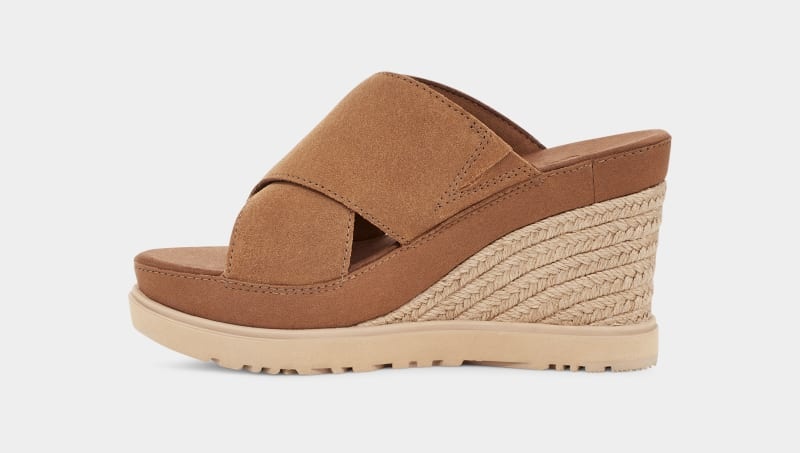 Brown Ugg Abbot Women's Slides | Saudi Arabia-2149536