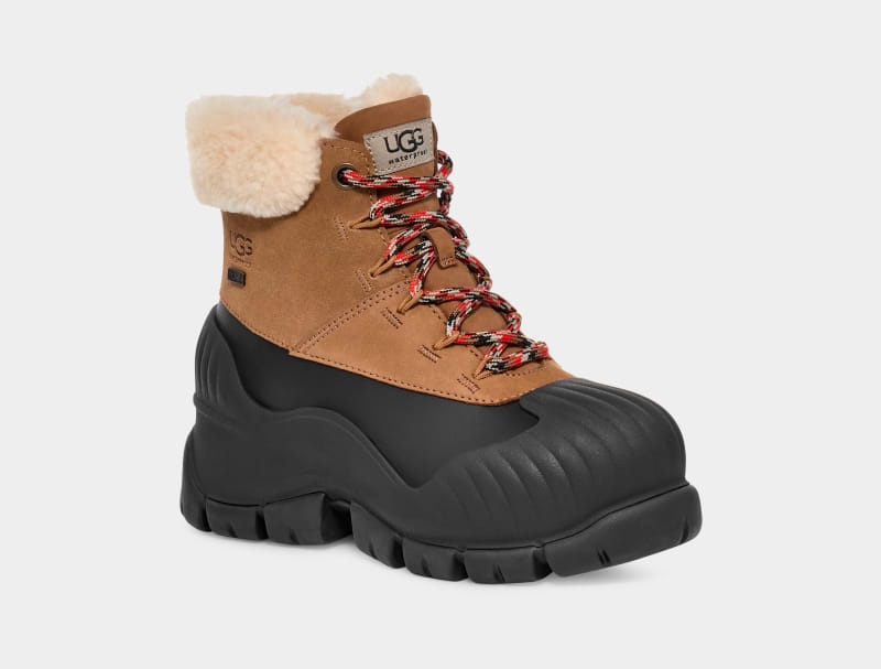 Brown Ugg Adiroam Hiker Women's Winter Boots | Saudi Arabia-4015368