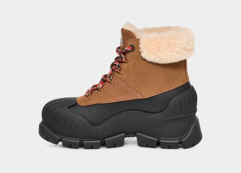 Brown Ugg Adiroam Hiker Women's Winter Boots | Saudi Arabia-4015368