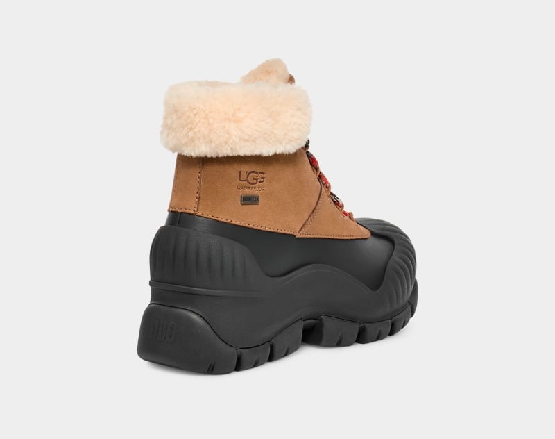 Brown Ugg Adiroam Hiker Women's Winter Boots | Saudi Arabia-4015368