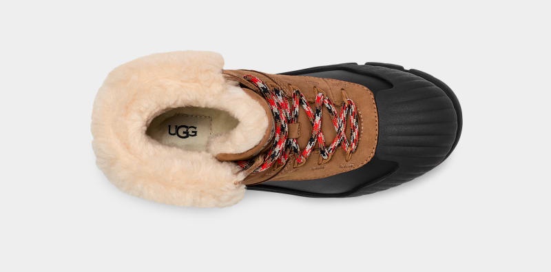 Brown Ugg Adiroam Hiker Women's Winter Boots | Saudi Arabia-4015368