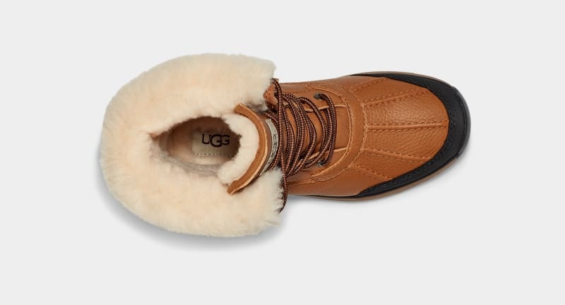 Brown Ugg Adirondack Iii Women's Boots | Saudi Arabia-2764195