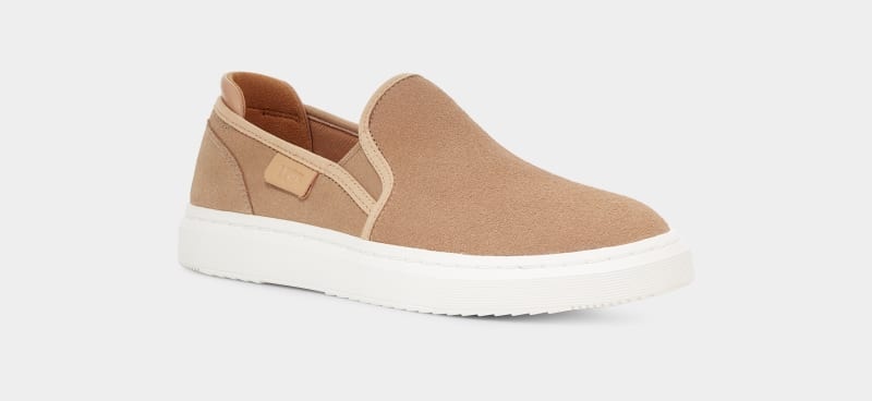 Brown Ugg Alameda Slip On Suede Women's Sneakers | Saudi Arabia-6405937