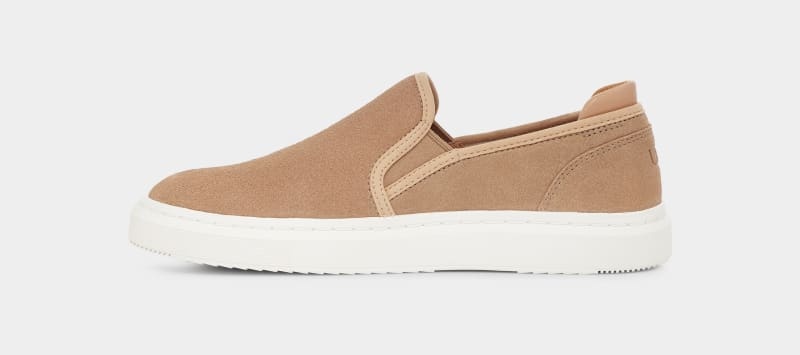 Brown Ugg Alameda Slip On Suede Women's Sneakers | Saudi Arabia-6405937