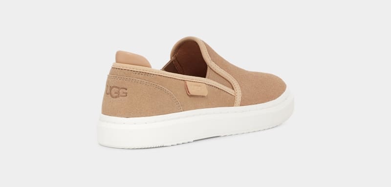 Brown Ugg Alameda Slip On Suede Women's Sneakers | Saudi Arabia-6405937