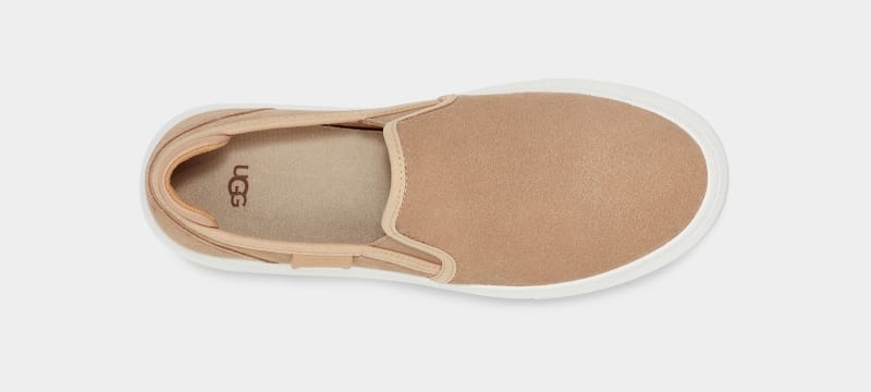 Brown Ugg Alameda Slip On Suede Women's Sneakers | Saudi Arabia-6405937