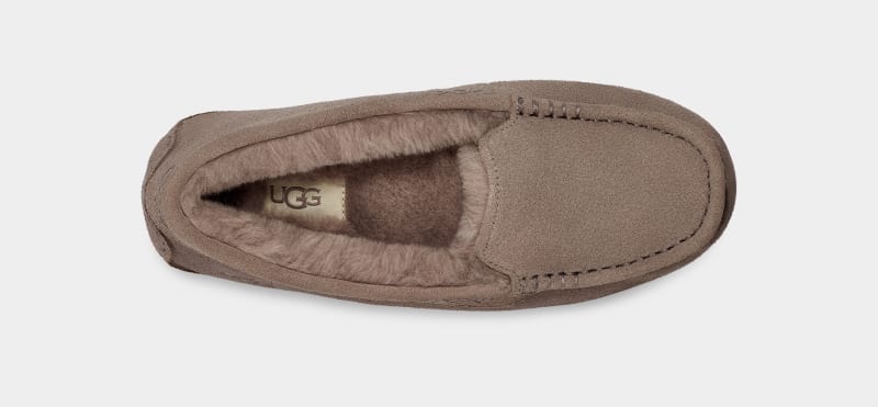 Brown Ugg Ansley Women's Moccasins | Saudi Arabia-4218067