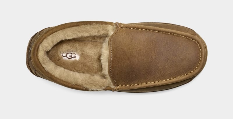 Brown Ugg Ascot Matte Leather Men's Moccasins | Saudi Arabia-9208761