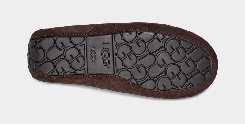 Brown Ugg Ascot Men's Slippers | Saudi Arabia-1027843