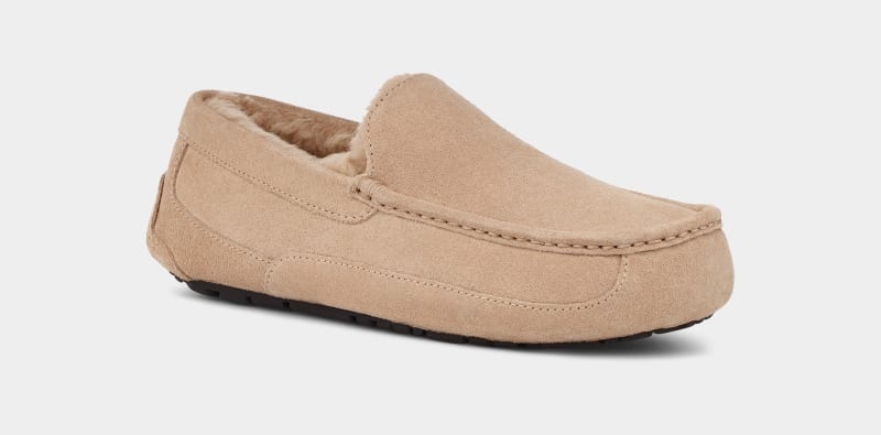 Brown Ugg Ascot Men's Slippers | Saudi Arabia-2970418