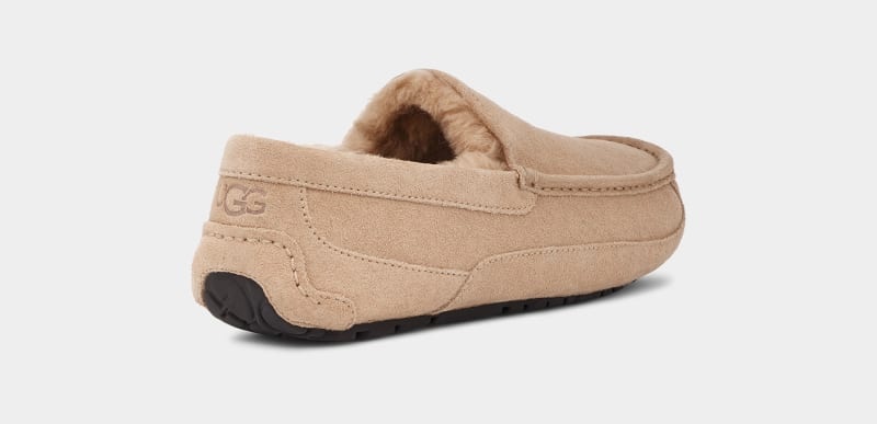 Brown Ugg Ascot Men's Slippers | Saudi Arabia-2970418