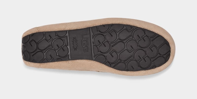 Brown Ugg Ascot Men's Slippers | Saudi Arabia-2970418