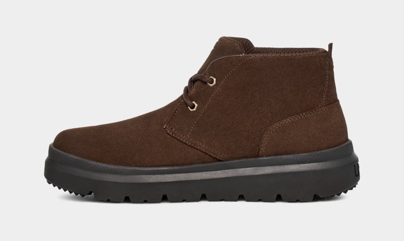 Brown Ugg Burleigh Chukka Men's Sneakers | Saudi Arabia-5619407