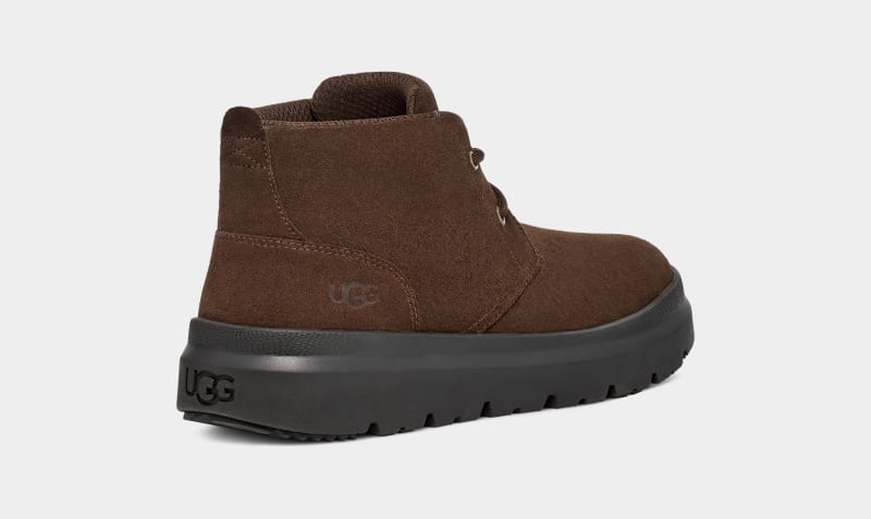 Brown Ugg Burleigh Chukka Men's Sneakers | Saudi Arabia-5619407