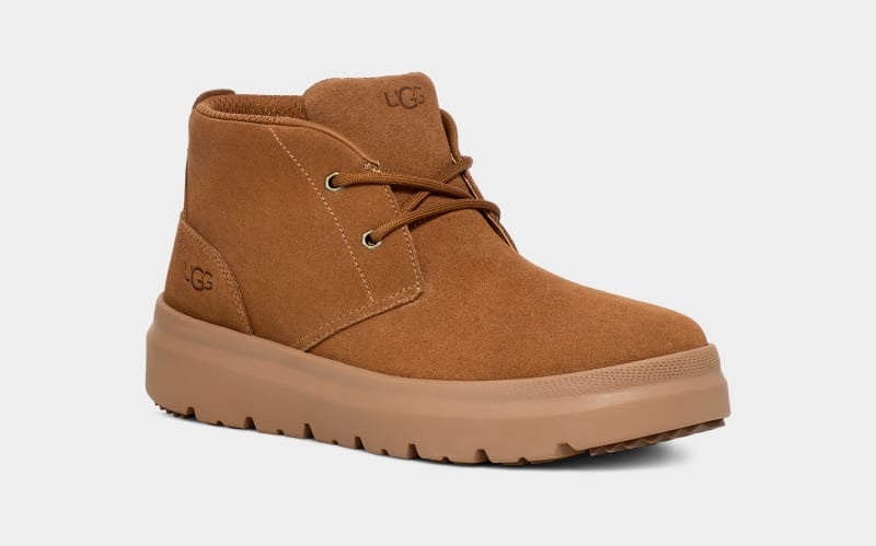 Brown Ugg Burleigh Chukka Men's Sneakers | Saudi Arabia-3751046